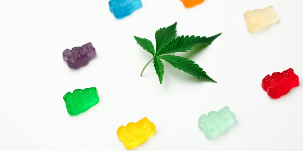 Camino Gummies: Shaping Your Entire Drive for Cannabis Edibles