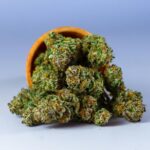What Is CBD Vape and Why Everyone’s Talking About It