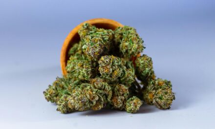 What Is CBD Vape and Why Everyone’s Talking About It